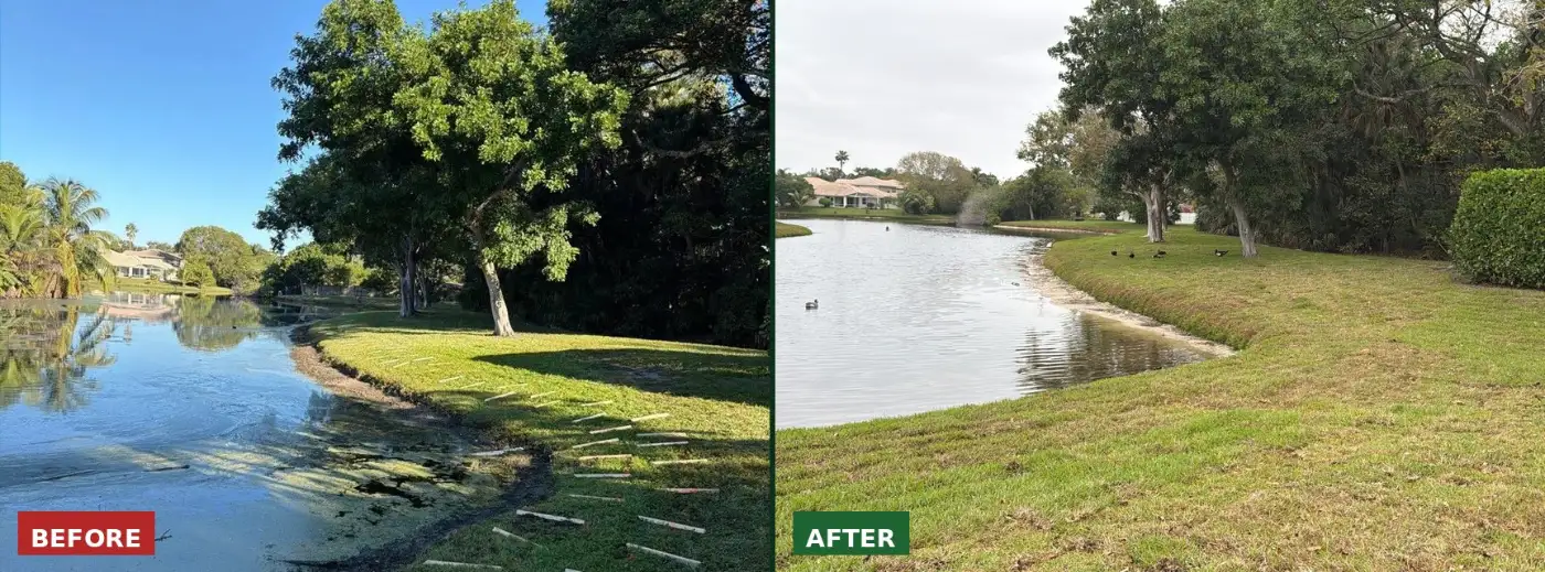 The same lake bank before and after it was rebuilt