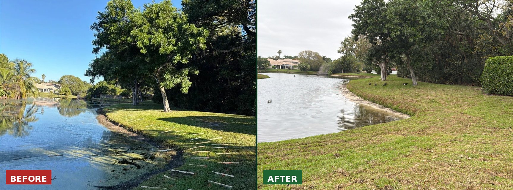 HOA lake bank erosion before and after repair